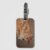 Tater Bagagelabel (Voorkant (verticaal))