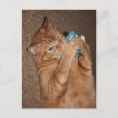 Tater Briefkaart (Voorkant)