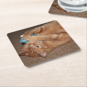 Tater Kartonnen Onderzetters (Schuin)