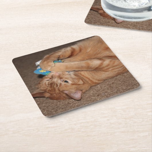 Tater Kartonnen Onderzetters (Schuin)