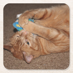 Tater Kartonnen Onderzetters