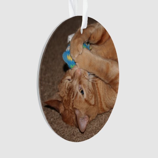 Tater Ornament (voorkant)