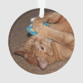 Tater Ornament (achterkant)