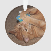 Tater Ornament (voorkant)