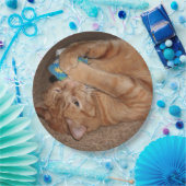 Tater Papieren Bordje (Feest)