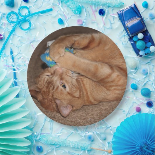 Tater Papieren Bordje (Feest)