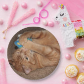 Tater Papieren Bordje (Feest)