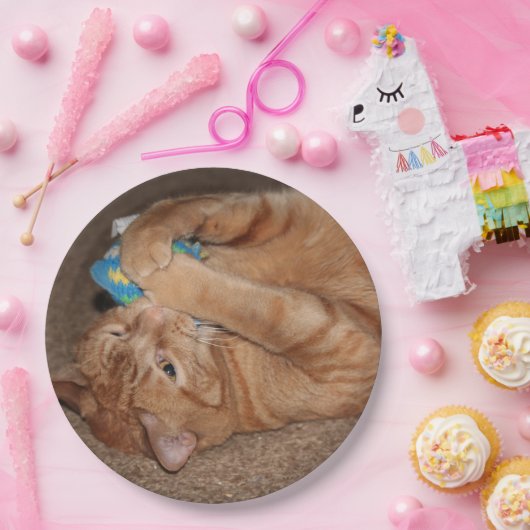 Tater Papieren Bordje (Feest)