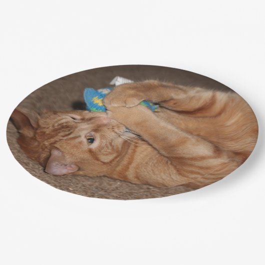 Tater Papieren Bordje (Gekanteld)