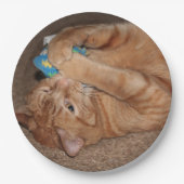 Tater Papieren Bordje (Voorkant)