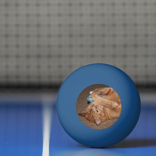 Tater Pingpongbal (Net)
