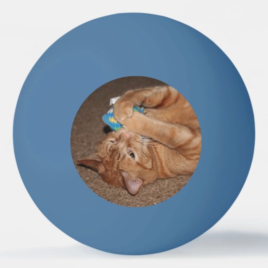 Tater Pingpongbal (Achterkant)