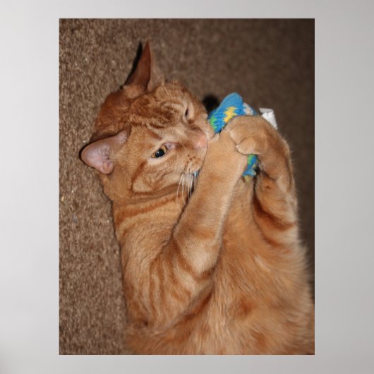 Tater Poster (Voorkant)