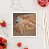 Tater Servet (Insitu)