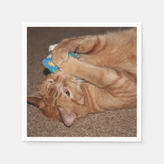 Tater Servet (Voorkant)