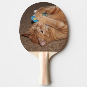 Tater Tafeltennisbatje