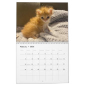 Tater tot 2024 Kalender (Feb 2026)