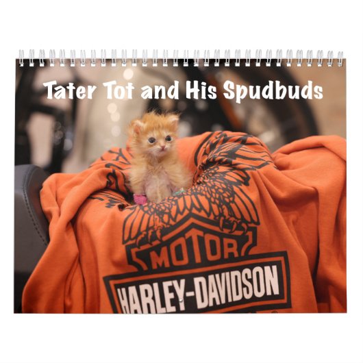 Tater tot 2024 Kalender (Hoes)