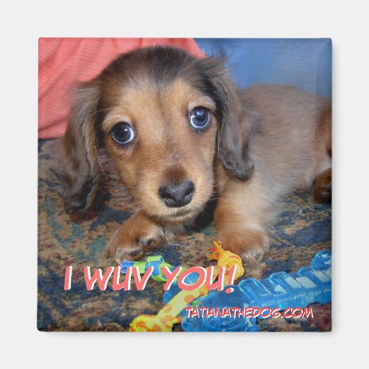 TatianaTheDog puppy magneet - IK WUV YOU! (Voorkant)