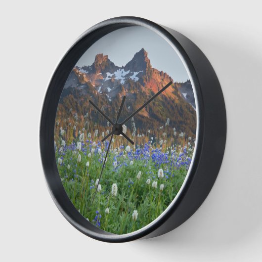 Tatoosh Range en wilde bloemen | Mt. Rainier (Hoek)