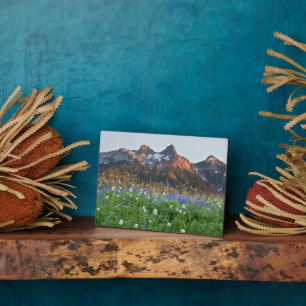 Tatoosh Range en wilde bloemen Mt. Rainier Fotoplaat