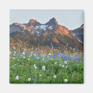 Tatoosh Range en wilde bloemen   Mt. Rainier Magneet