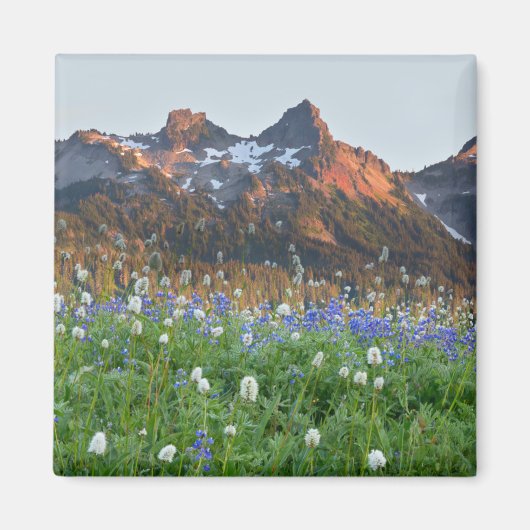 Tatoosh Range en wilde bloemen | Mt. Rainier Magneet (Voorkant)