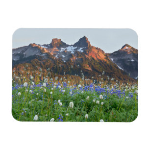 Tatoosh Range en wilde bloemen Mt. Rainier Magneet