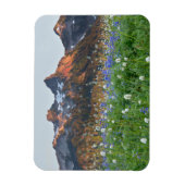 Tatoosh Range en wilde bloemen | Mt. Rainier Magneet (Verticaal)