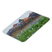 Tatoosh Range en wilde bloemen | Mt. Rainier Magneet (Linkerzijde)