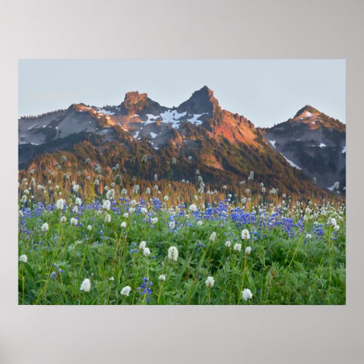 Tatoosh Range en wilde bloemen | Mt. Rainier Poster (Voorkant)