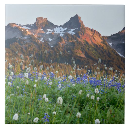 Tatoosh Range en wilde bloemen | Mt. Rainier Tegeltje (Voorkant)