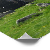 Tatras Rusinowa weide Poster (Hoek)