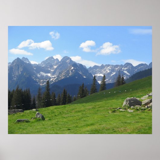 Tatras Rusinowa weide Poster (Voorkant)