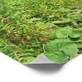 Tatras, Slowakije Poster (Hoek)