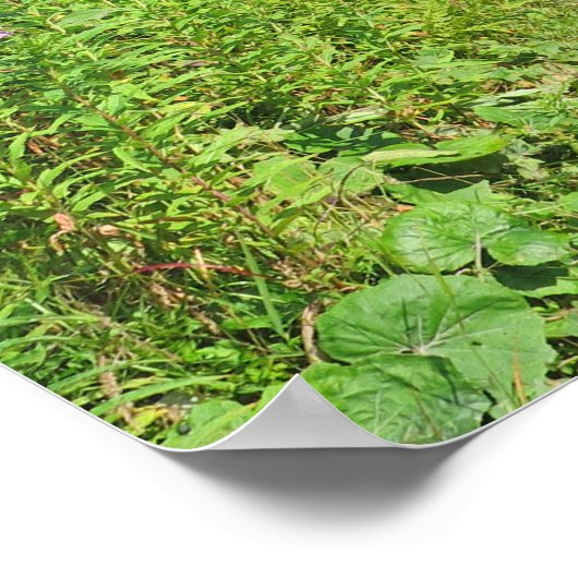 Tatras, Slowakije Poster (Hoek)