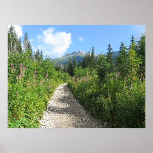 Tatras, Slowakije Poster (Voorkant)