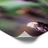 Tattered Poster (Hoek)