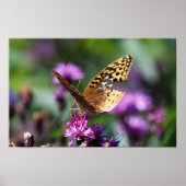 Tattered Poster (Voorkant)