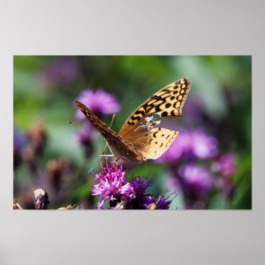 Tattered Poster (Voorkant)