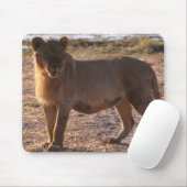 Tau, Lion, Foto Muismat (Met muis)