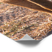 Tau, Lion, Foto Poster (Hoek)