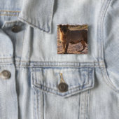 Tau, Lion, Foto Vierkante Button 5,1 Cm (In situ)