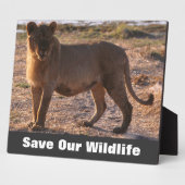 Tau redt ons leven fotoplaat (Zijkant)