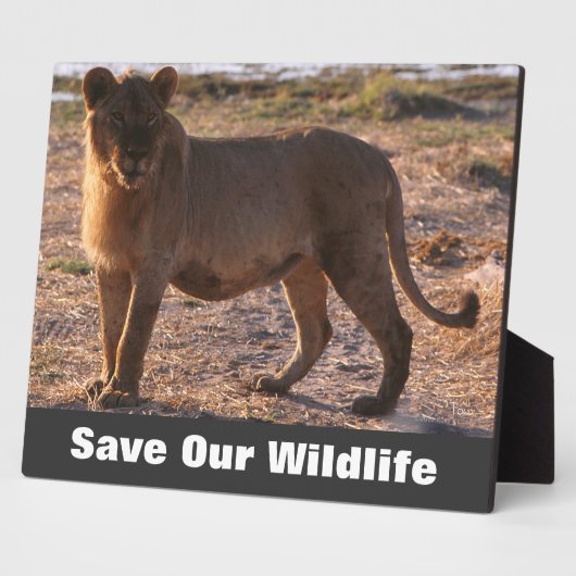 Tau redt ons leven fotoplaat (Zijkant)