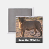 Tau redt ons leven magneet (Voorkant / Achterkant)