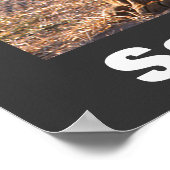 Tau Save Our Wildlife Poster (Hoek)