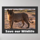 Tau Save Our Wildlife Poster (Voorkant)