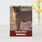 Tau Save Our Wildlife Wenskaart Kaart (Gele Bloem)