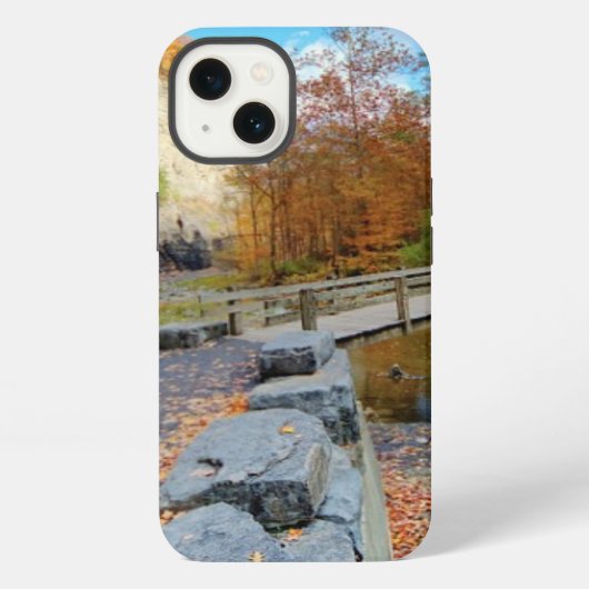 Taughannock Falls State Park iPhone Hoesje (Achterkant)